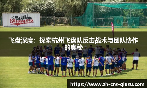 球速体育平台